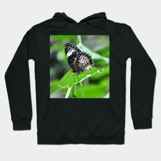 Black and White Butterfly Hoodie